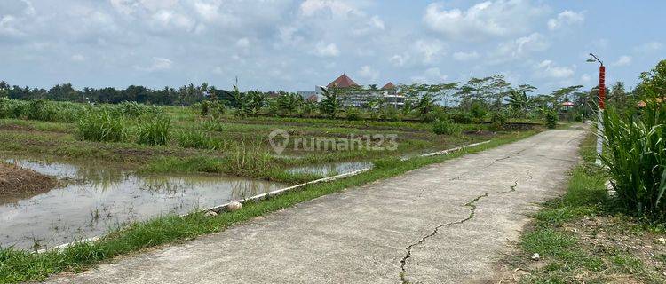 Jual Tanah Dekat Perkantoran Wates Kulonorogo Jogja 1