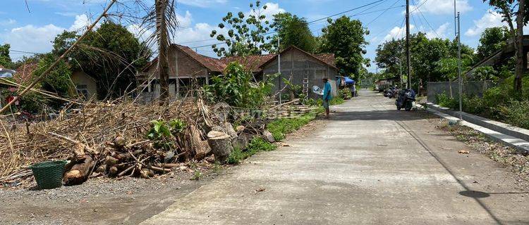 Jual Tanah Berbah Jogja 100 Jt An Dekat Aau Adisucipto 1