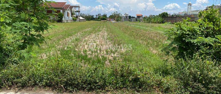 Dijual Tanah Godean Hanya 100 Mtr Jl Raya Godean, Jogja 1