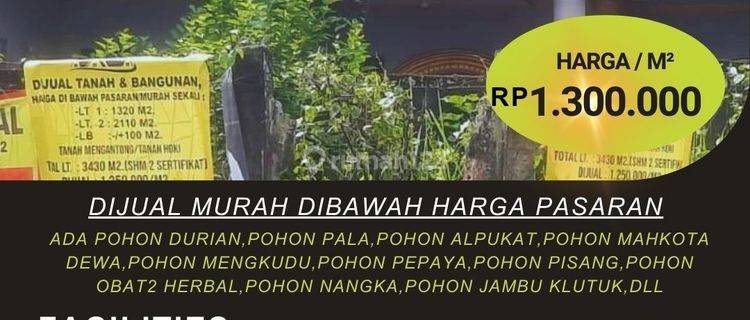 Dijual Tanah 3.430 m² di Dijual Murah dibawah Harga Pasaran di Caringin Bogor 1