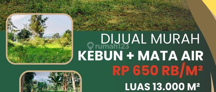 Dijual Kebun & Mata Air di Pasir Angin Megamendung Bogor 1