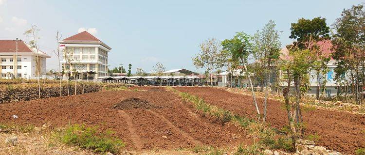 Tanah Istimewa Samping Kampus Uny Gunung Kidul Mangku Aspal 1