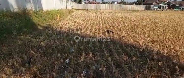 Tanah Lahan Murah Strategis Bangun Perum di Cicalengka Bandung  1