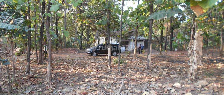 Tanah Strategis Bangun usaha di depan Pintu Masuk Kota Subang  1