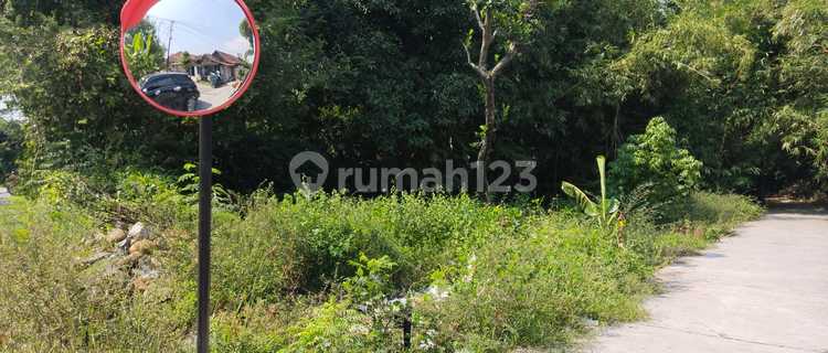 Tanah Kebon Kebun Kapling Komersial Gemuh Blanten Kendal 1