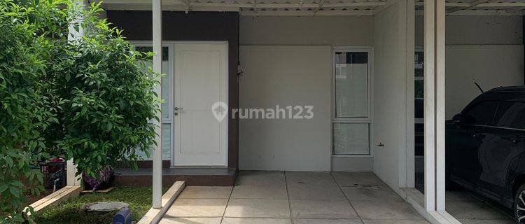 Rumah 1 Lantai Sewa Murah Magnolia Residance  1