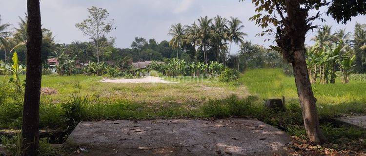 Dijual Tanah Luas Pinggir Jalan Triharjo Sleman 1