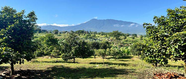 Tanah Murah Harga Dibawah Njop Puncak Bogor 1