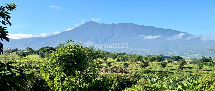 Tanah Murah Puncak View Gunung Pangrango 1