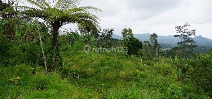 Tanah Buleleng Cocok Untuk Hotel, Resort Atau Restoran 1