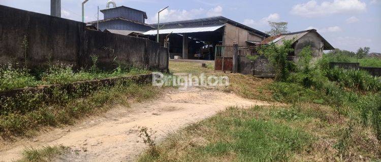 PABRIK + GUDANG dan TANAH ( Ex Pabrik Singkong) GAYA BARU LAMPUNG TENGGAH 1