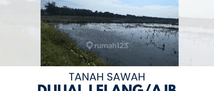 Dijual Tanah Sawah di Anjatan Indramayu 1