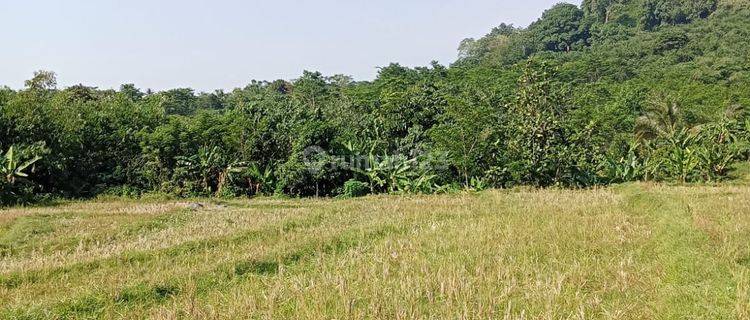 Jual Murah Sawah SHM di Desa Kertamanah Purwakarta Jawa Barat 1