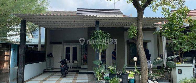 Dijual Disewakan Rumah di Perumahan Citra Garden Sidoarjo 1