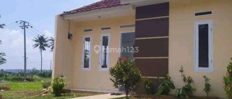 Dijual Rumah Subsidi Konsep Cluster Dekat Sekolah Mardiyuana 1