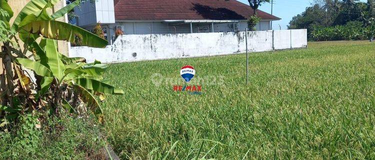 Di Jual Tanah Strategis 15 Menit Pinggir Jalan Menuju Bandara Internasional Nyia Kulon Progo Yogjakarta 1