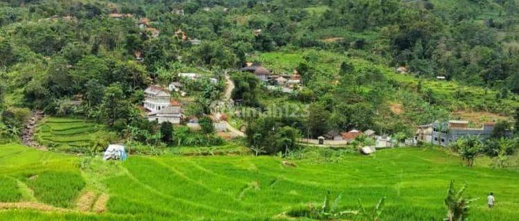 Tanah View Cantik di Babakan Madang, Bogor 1.100 m² 1