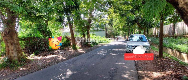 Tanah Di Tengah Kota Semarang Atas Gajah Mungkur Lempongsari View Kota Semarang Siap Di Pinang Bentuk Tanah Melebar 1