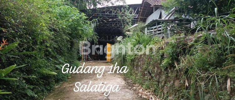 Tanah Luas Murah View Gunung  Dekat Kopeng Salatiga 1