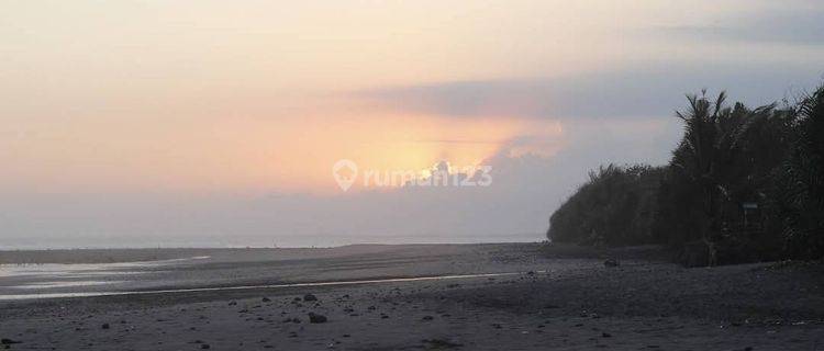 Sell Cheap Land Los Pantai Location Pulukan Jembrana Bali 1