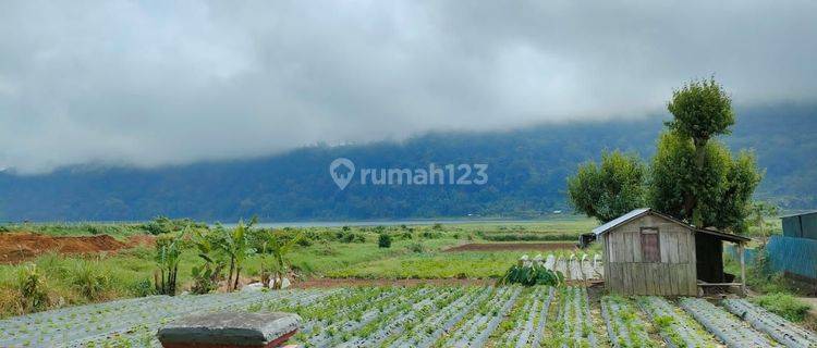 Dijual rumah view danau  1