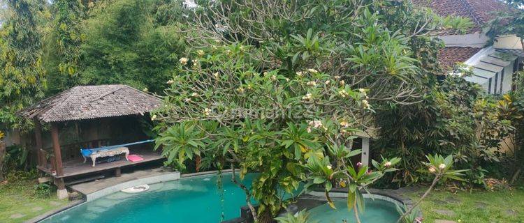 Very Cheap Canggu Villa 1