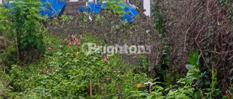TANAH STRATEGIS 3 ARE – LOKASI NYAMAN & TENANG, IDEAL UNTUK VILLA ATAU RUMAH PRIBADI! 1