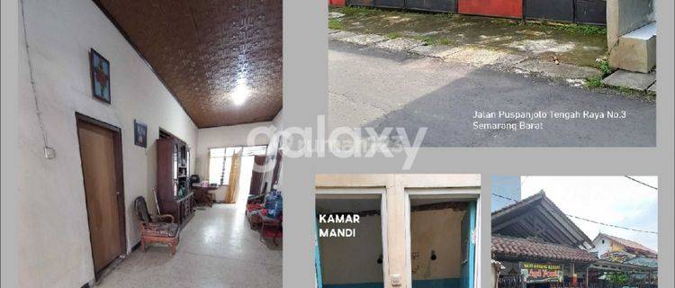 Dijual Rumah Jl Pusponjolo Tengah Raya Semarang 1