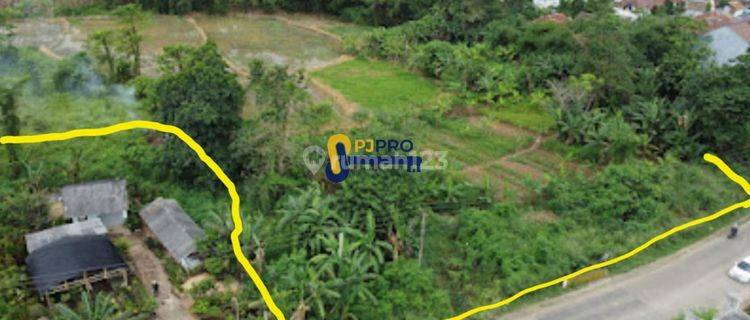 Dijual Tanah Cocok Untuk Bangun Perumahan di Serang 1