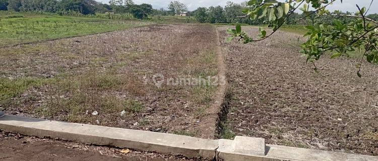 Dijual Tanah di Lumbungkerep, Wonosari, Klaten 1