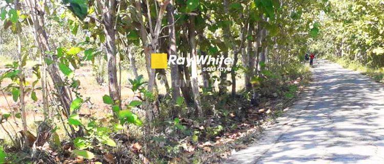 Dijual Tanah Manyaran, Wonogiri  1