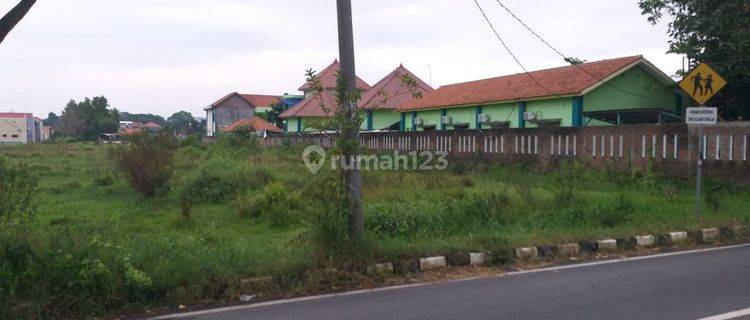 TANAH STRATEGIS MURAH DEKAT GEDUNG GRAHA SABA BUANA SOLO 1