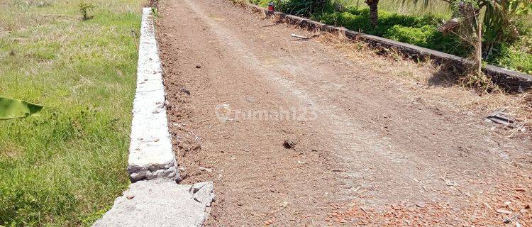 Baru Dibuka Tanah Kavling Dekat Dengan Villa Saori Dan Pantai Klating  1