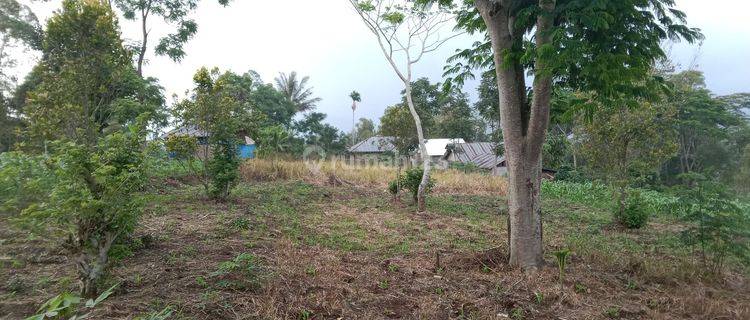 Dijual Tanah Area Kecamatan Ruteng, Manggarai 1