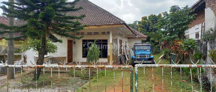 Rumah Sewa Dekat Wisata Bromo Cocok Untuk Usaha Cafe Dan Homestay 1