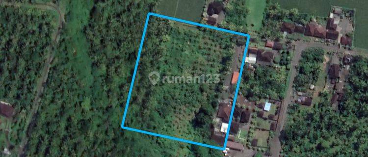 Land for Sale Fast in Jl Arjuna, Yehembang Jembrana Bali SHM 12,900 m2 1