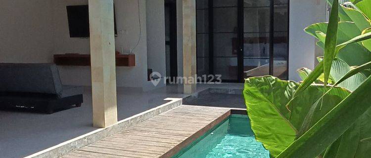 Brand New Villa 3br Near Sanur  1