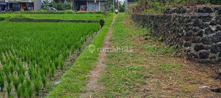 Tanah Premium Langka Dekat Pantai Kedungu 1