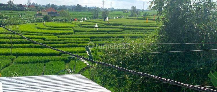 Villa Pribadi 2 Lantai Dengan Kolam Renang Di Tumbak Bayuh Canggu 1