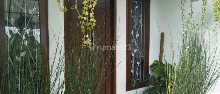 Rumah Minimalis Nyaman Di Batu Bulan Kangin Gianyar 1