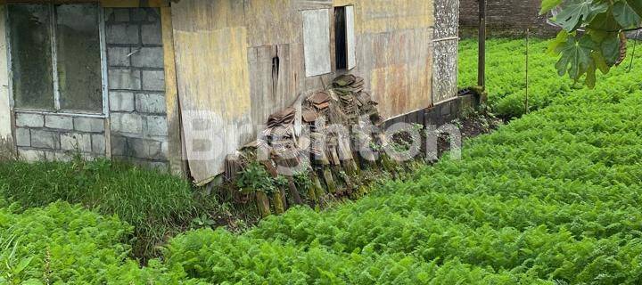 Tanah Batu Lokasi Startegis untuk Vila 1