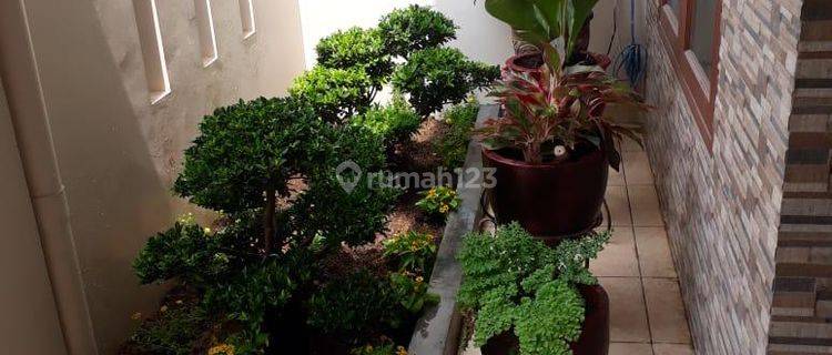 Dijual Rumah Bagus Dan Murah Di Taman Royal  1