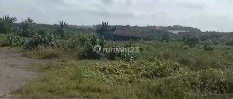 Land For Sale At Siyut Gianyar Bali 1