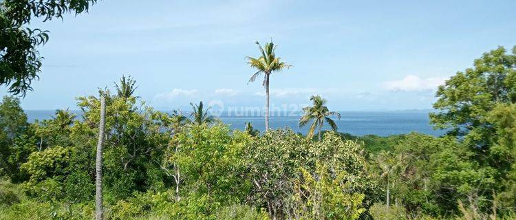 Land For Sale With Cliff View At Nusa Penida Bali 1