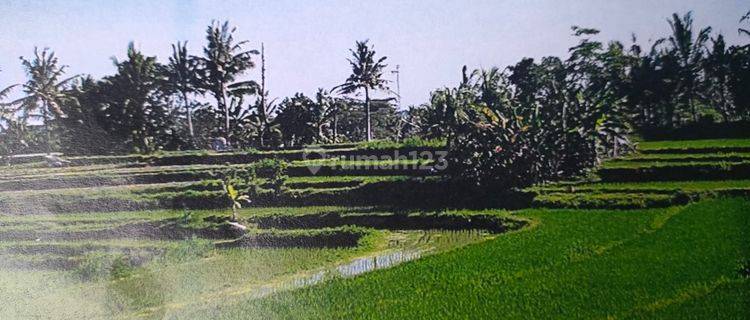 Land For Sale At Siyut Gianyar Bali 1