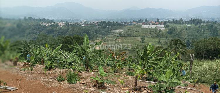 Tanah Murah Di Puncak Kavling Estetis Harga Minimalis 1