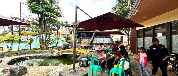 KAVLING SAWAH MURAH BELI HARI INI BISA PANEN PADI SENDIRI 1