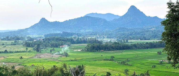 Investasi Kavling Murah Area Wisata Di Puncak 1