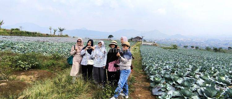 Tanah Murah Di Puncak Peluang Emas Investasi Berkelas 1