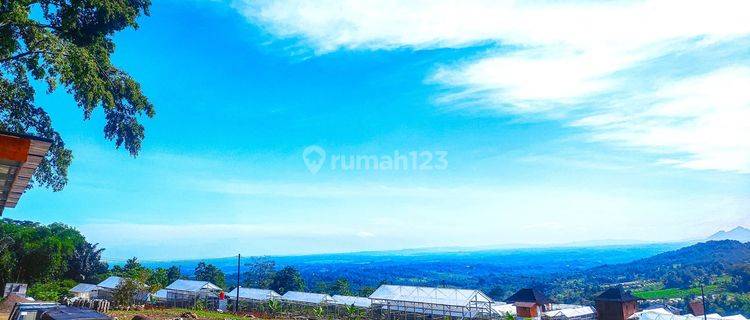 Bisnis Tanah Murah Di Puncak Untuk Restoran 1